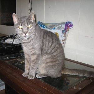 Meet your Posher, Alexis